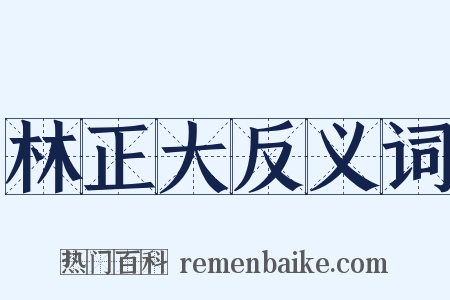 林正大反义词是什么意思的图片